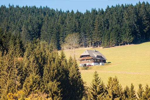 Haus in der Nähe von Villingen-Schweninngen mit Schwarzwald im Hintergrund